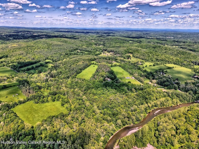 360 Stone Bridge Rd, Extension, Durham, NY 12423 - photo 70