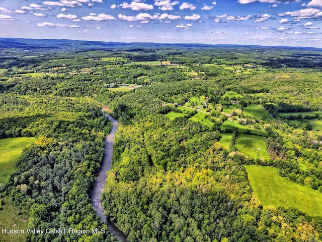 360 Stone Bridge Rd, Extension, Durham, NY 12423 - photo 69