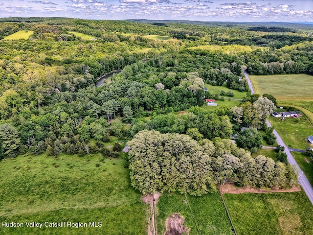 360 Stone Bridge Rd, Extension, Durham, NY 12423 - photo 74