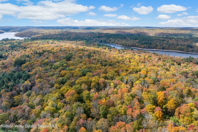 378 Gregory Rd, Monticello, NY 12701 - photo 14