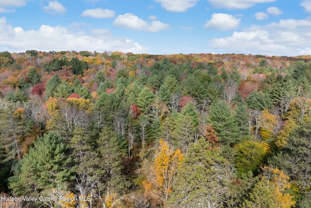 378 Gregory Rd, Monticello, NY 12701 - photo 21