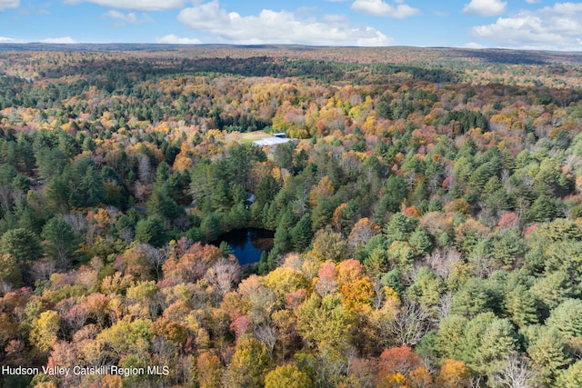 378 Gregory Rd, Monticello, NY 12701 - photo 31