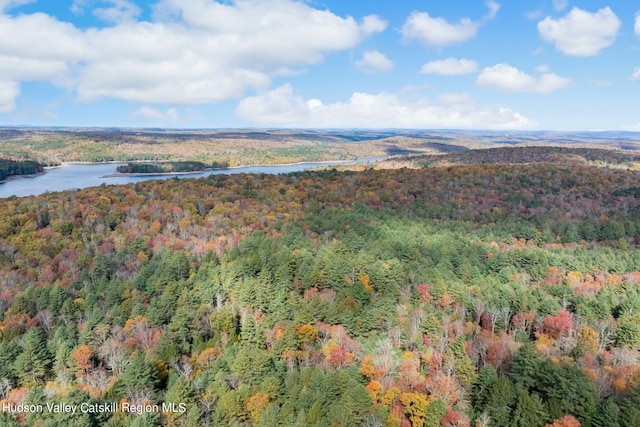 378 Gregory Rd, Monticello, NY 12701 - photo 9