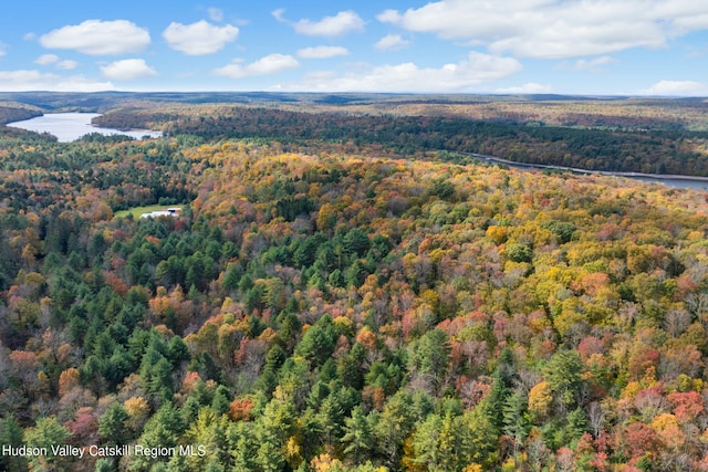 378 Gregory Rd, Monticello, NY 12701 - photo 13