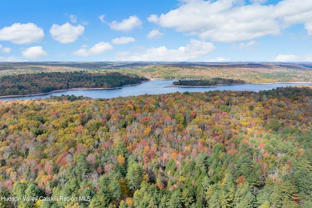 378 Gregory Rd, Monticello, NY 12701 - photo 10