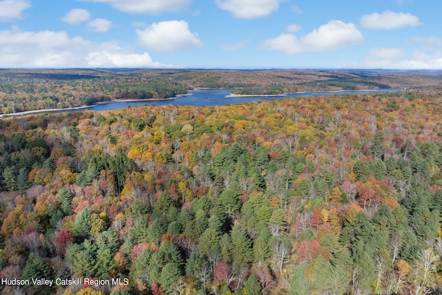 378 Gregory Rd, Monticello, NY 12701 - photo 27