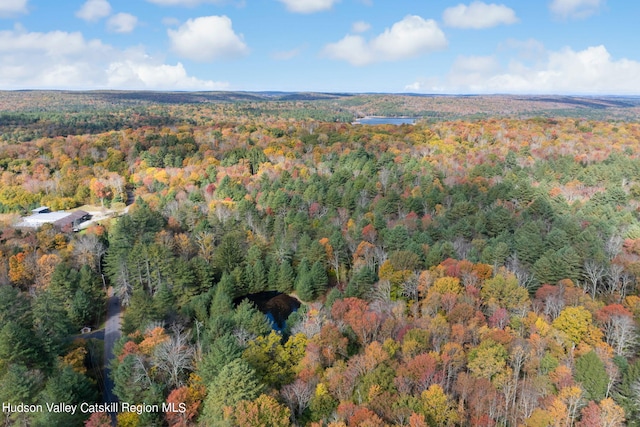378 Gregory Rd, Monticello, NY 12701 - photo 32