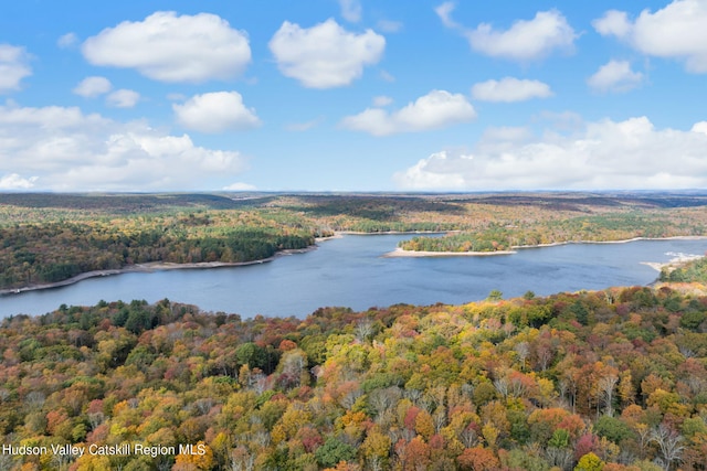 378 Gregory Rd, Monticello, NY 12701 - photo 8