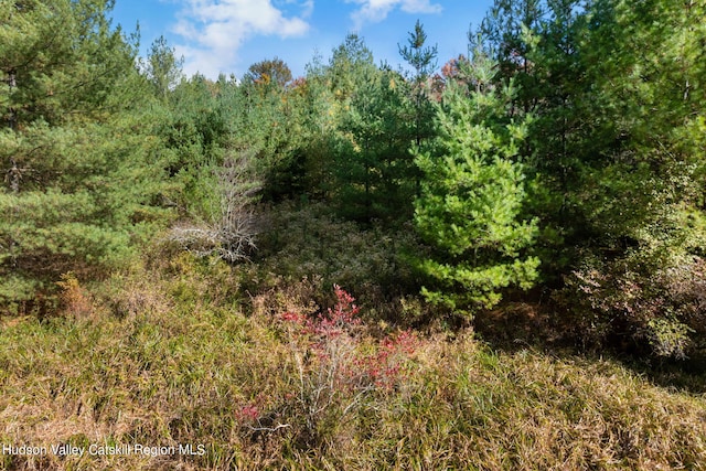 378 Gregory Rd, Monticello, NY 12701 - photo 26