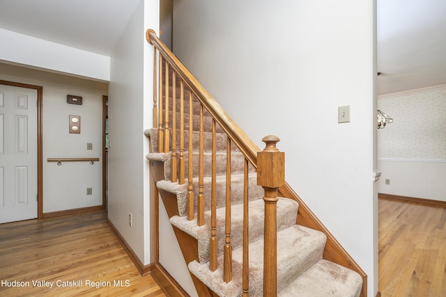 25 Mccombe Dr, Bethlehem, NY 12054 - photo 16