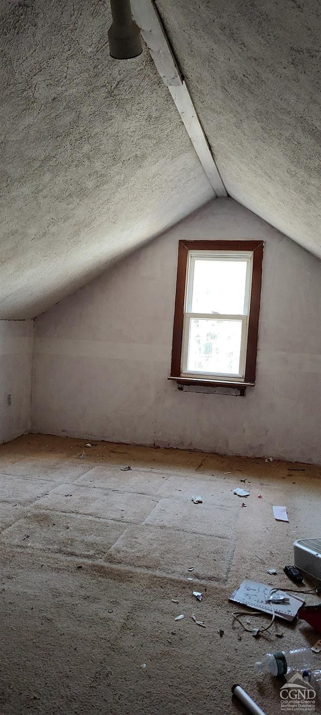 436-450 Scutt Rd, Greenville, NY 12083 - additional living space with a textured ceiling and vaulted ceiling