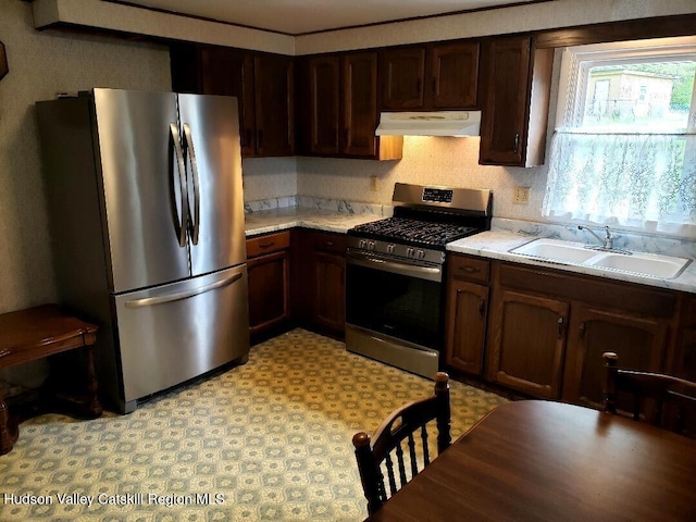 22 Katzman Rd, Ellenville, NY 12428 - kitchen featuring appliances with stainless steel finishes, a sink, under cabinet range hood, light countertops, and dark brown cabinetry