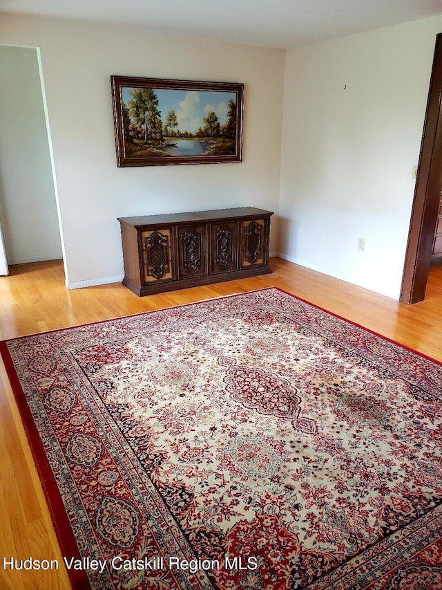 22 Katzman Rd, Ellenville, NY 12428 - spare room featuring light wood finished floors and baseboards