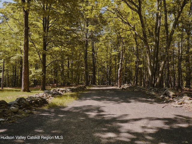39 Hornbeck Ln, Accord, NY 12404 - view of street featuring a forest view