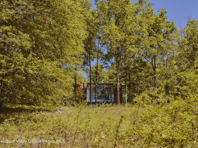 39 Hornbeck Ln, Accord, NY 12404 - view of yard