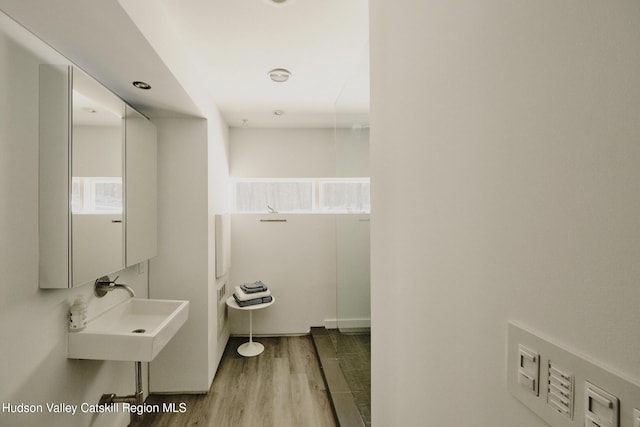 bathroom featuring sink and hardwood / wood-style floors