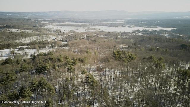 drone / aerial view featuring a mountain view