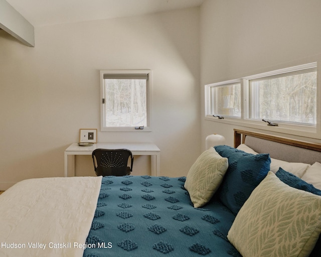 bedroom with lofted ceiling