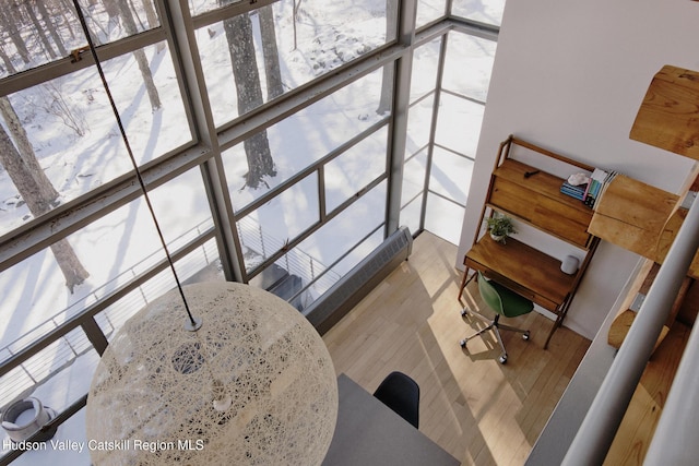 interior space with hardwood / wood-style floors, expansive windows, and a wealth of natural light