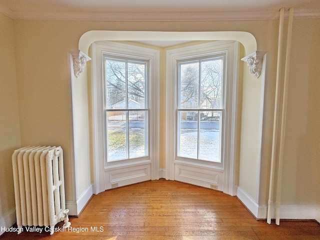 11 W Bridge St, Saugerties, NY 12477 - detailed view of radiator heating unit, wood finished floors, and crown molding
