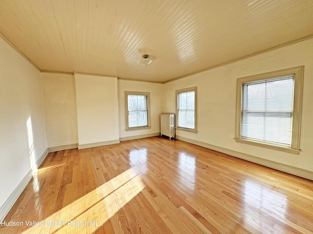 11 W Bridge St, Saugerties, NY 12477 - unfurnished room featuring radiator heating unit and light wood-style floors