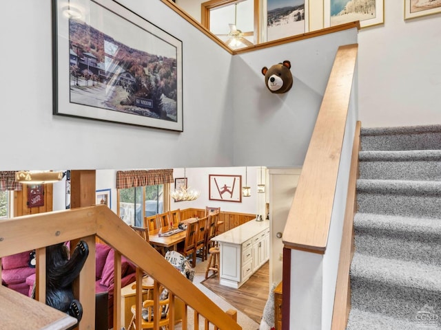 stairway featuring a ceiling fan, plenty of natural light, and wood finished floors