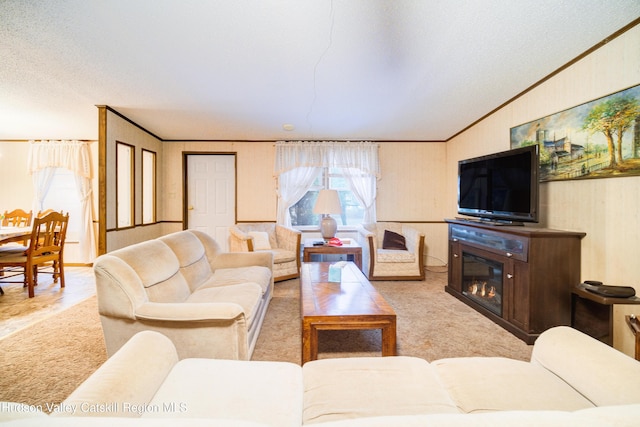 carpeted living room featuring a glass covered fireplace, a textured ceiling, and ornamental molding