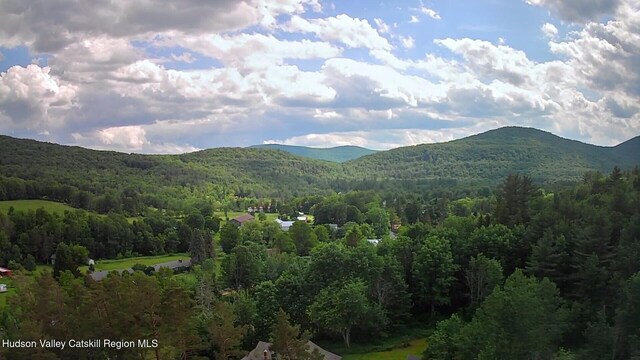 20 Slater Rd, Windham, NY 12496 - photo 44