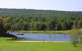 20 Slater Rd, Windham, NY 12496 - photo 46