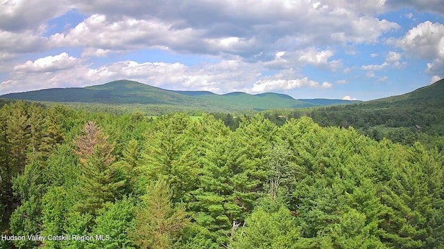 20 Slater Rd, Windham, NY 12496 - photo 5