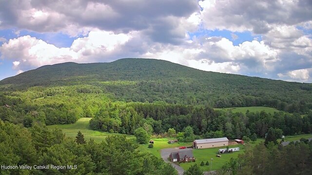 20 Slater Rd, Windham, NY 12496 - photo 40