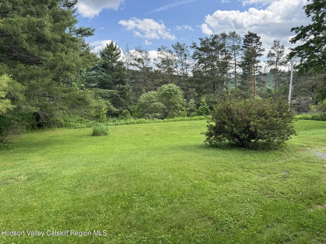 20 Slater Rd, Windham, NY 12496 - photo 41