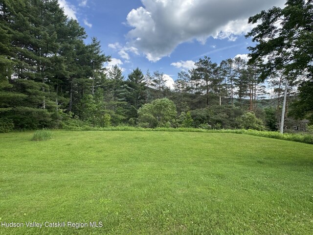 20 Slater Rd, Windham, NY 12496 - photo 39