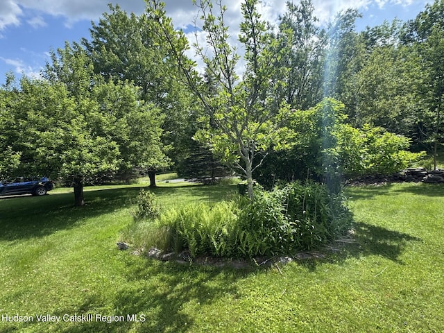 20 Slater Rd, Windham, NY 12496 - photo 4