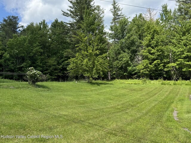 20 Slater Rd, Windham, NY 12496 - photo 24