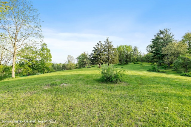 314 High Rock Rd, Hannacroix, NY 12087