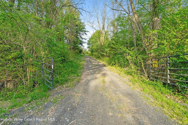 314 High Rock Rd, Hannacroix, NY 12087