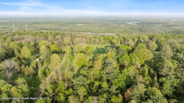 314 High Rock Rd, Hannacroix, NY 12087