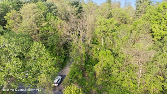 314 High Rock Rd, Hannacroix, NY 12087