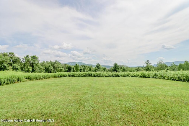 211 Mitchell St, Hillsdale, NY 12529 - photo 45