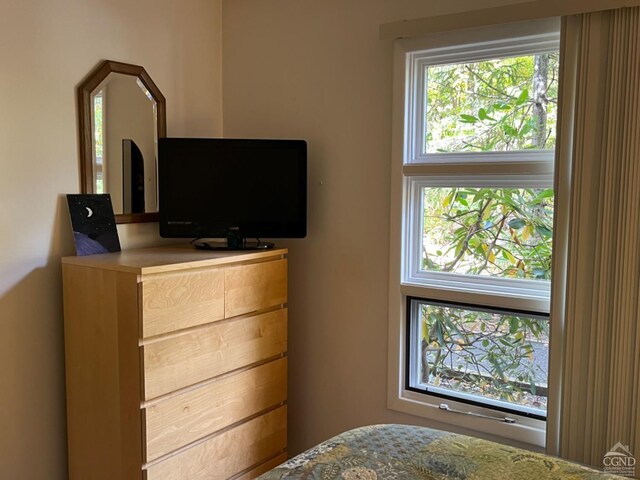 24 Highlands Dr Unit J-4, Hunter, NY 12442 - view of bedroom