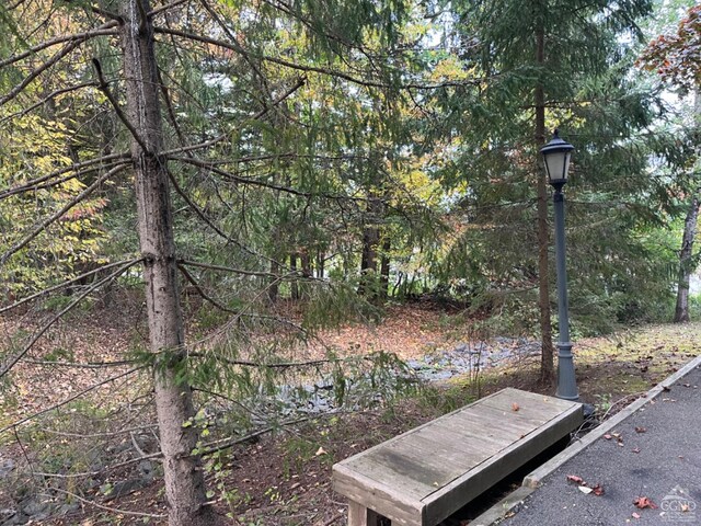 24 Highlands Dr Unit J-4, Hunter, NY 12442 - view of property's community