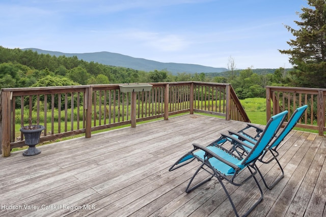 1002 Potter Mountain Rd, Gilboa, NY 12076 - photo 11