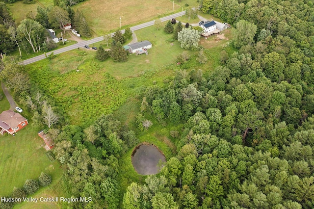 1002 Potter Mountain Rd, Gilboa, NY 12076 - photo 12