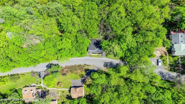 194 High Falls Rd, Saugerties, NY 12477 - bird's eye view of a forest