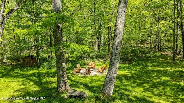 194 High Falls Rd, Saugerties, NY 12477 - view of tree filled area