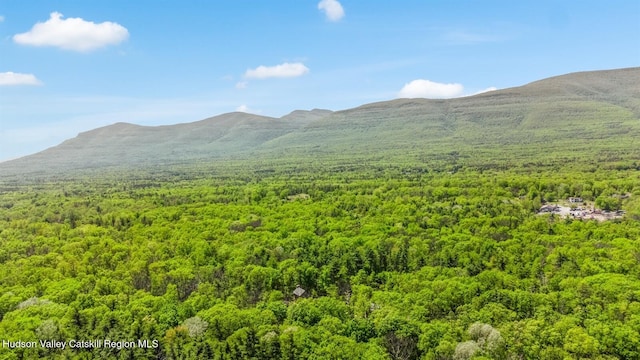 194 High Falls Rd, Saugerties, NY 12477 - view of mountain backdrop featuring a forest