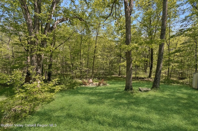 194 High Falls Rd, Saugerties, NY 12477 - view of green lawn with a view of trees