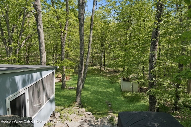 194 High Falls Rd, Saugerties, NY 12477 - view of yard