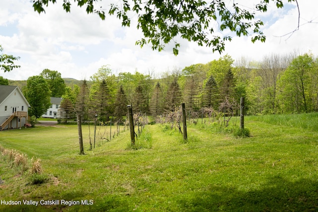 394 Macmore Rd, Roxbury, NY 12474 - view of green lawn with a forest view
